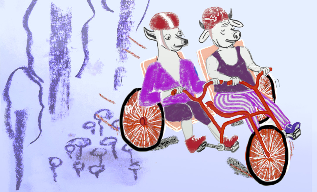 Dessin d'un tricycle orange, une chienne et une vache pédalent, avec un casque orange. Elles sont habillées en violet, elles filent dans le décor d'arbres et champignons violet.